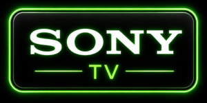 service sony13